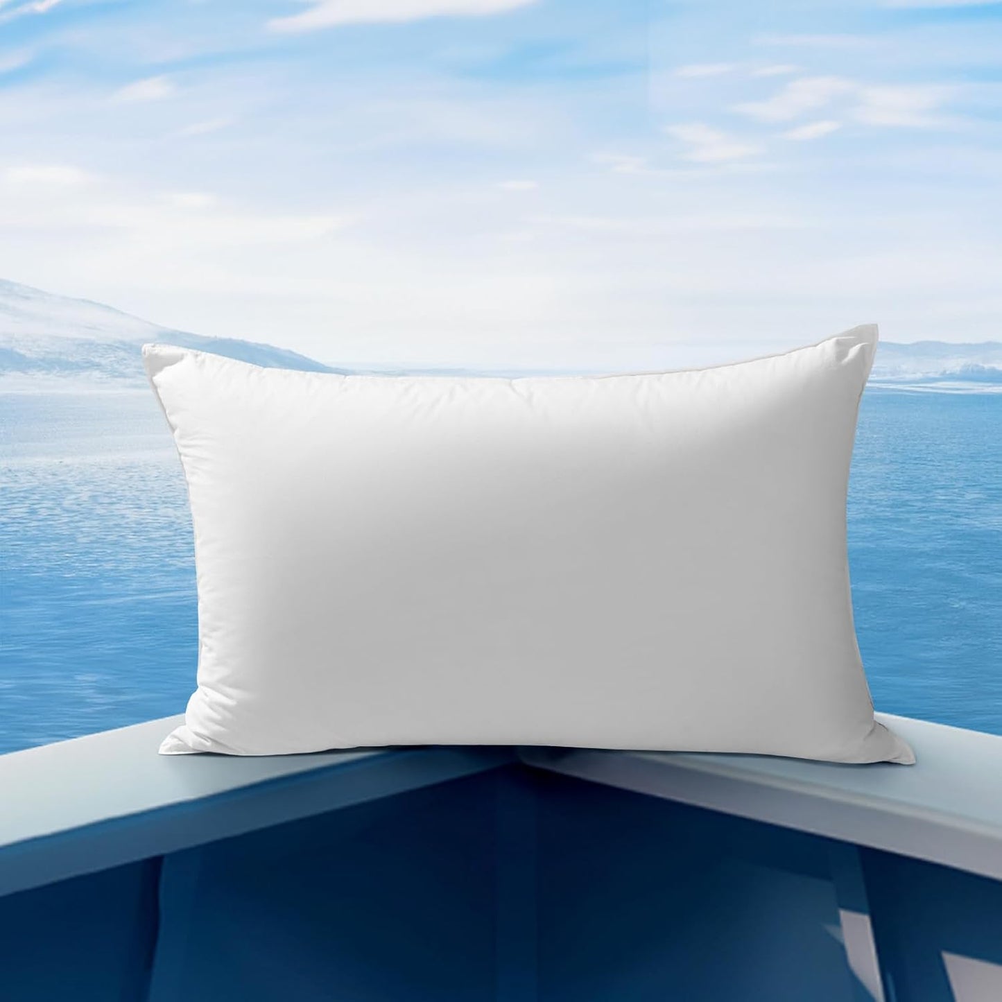 Goose Down Pillow