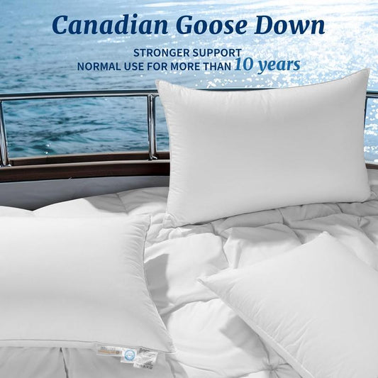 Goose Down Pillow