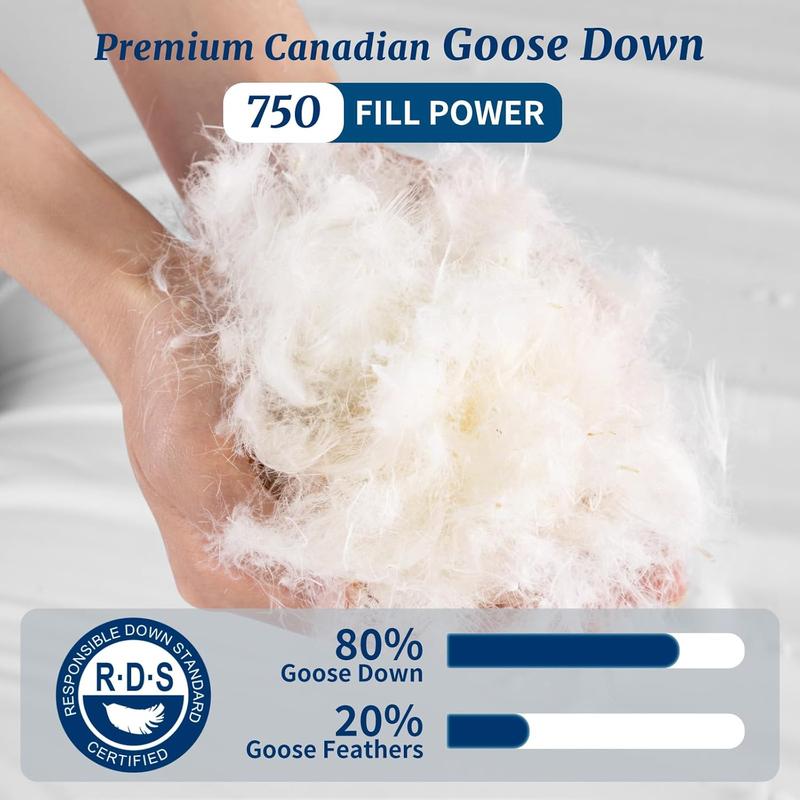 Goose Down Pillow
