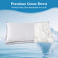 Dual Fill Cooling Pillow