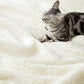 Luxury Sherpa Fleece Bed Blanket