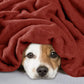 Shilucheng Fleece Blankets, All Season Luxury Lightweight Thermal Throw for Couch Bed Sofa